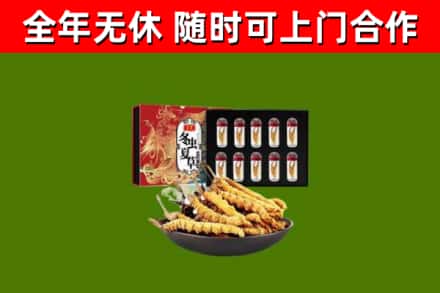 南召回收冬虫夏草价格